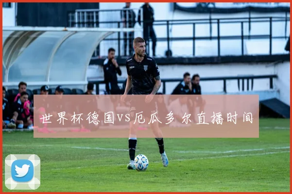 世界杯德国vs厄瓜多尔直播时间