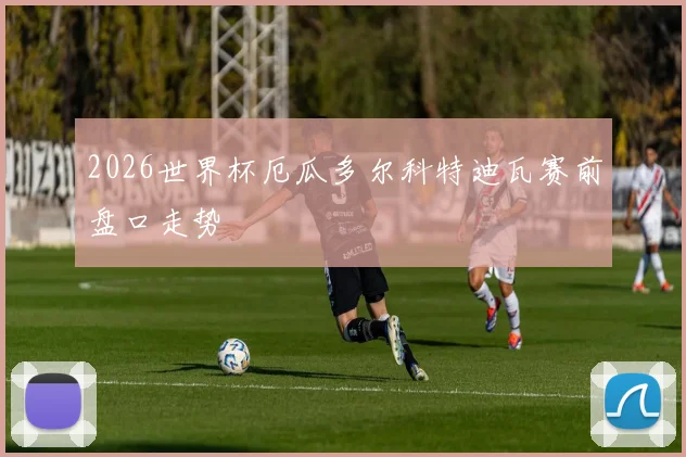 2026世界杯厄瓜多尔科特迪瓦赛前盘口走势