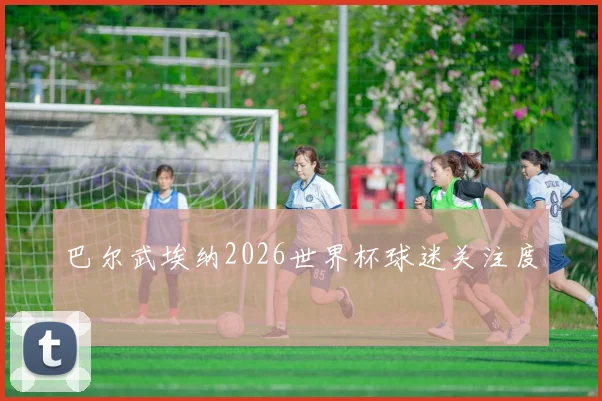 巴尔武埃纳2026世界杯球迷关注度