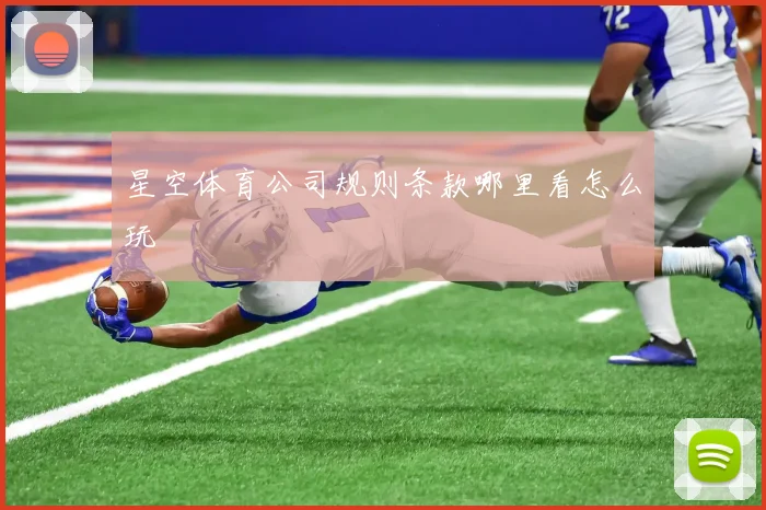 星空体育公司规则条款哪里看怎么玩
