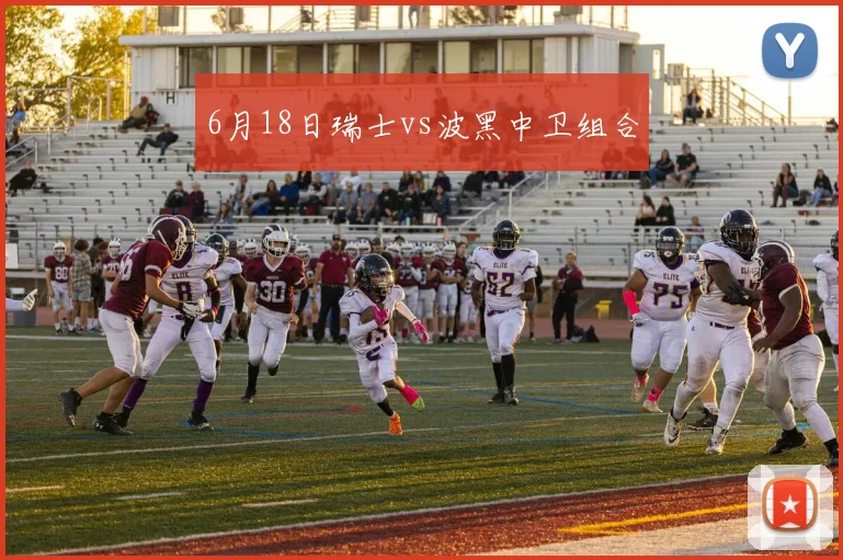6月18日瑞士vs波黑中卫组合